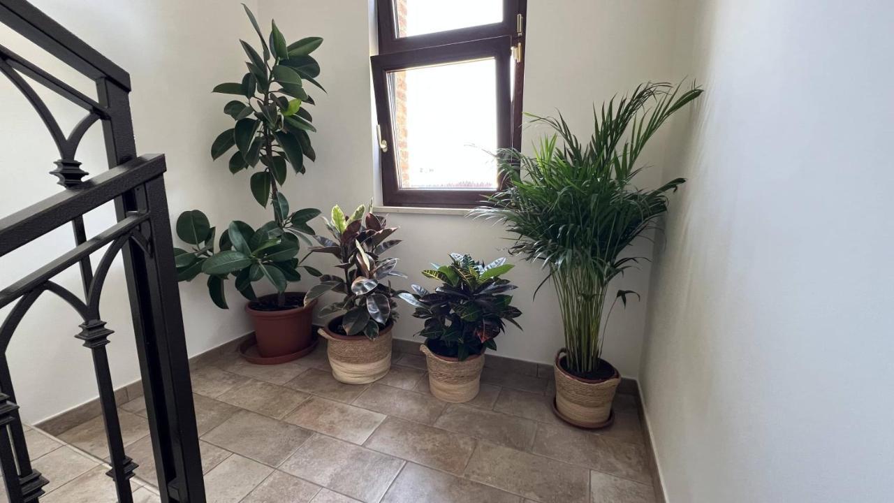 Guest House Le Vagabonde Fiumicino Ngoại thất bức ảnh